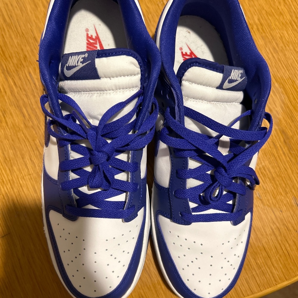 Dunks purple men’s 12